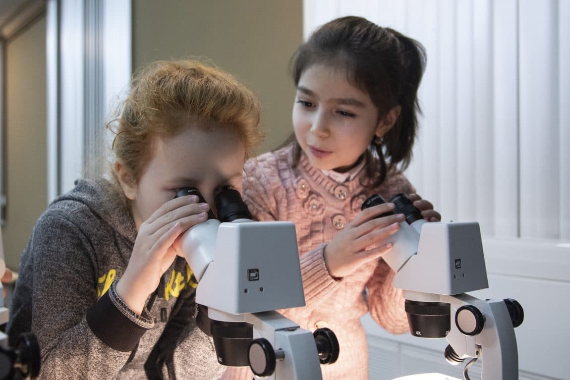 Интерактивное занятие «Палеонтология для всех»